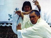 Брюс и кунг-фу монастыря Шао-Линь (1977)