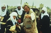 Принц пустыни (1991)