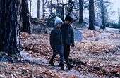 Оке и его мир (1984)