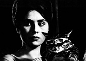 Вот придет кот (1963)