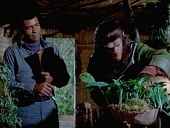 Битва за планету обезьян (1973)