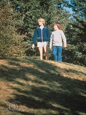 Отзвуки лета (1976)