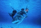 Ловец акул с острова Бора-Бора (1980)