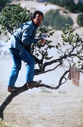 Городские пижоны (1991)