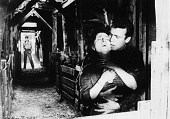 Дикий ветер трейлер (1957)