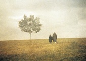Пейзаж в тумане (1988)