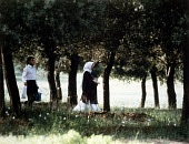Сквозь оливы (1994)