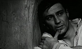 Лес повешенных трейлер (1964)