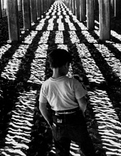Маленький беглец трейлер (1953)