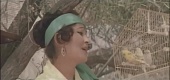 Повар и певица (1978)