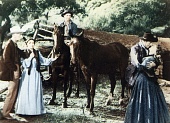 Петля палача (1952)