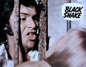 Черная змея (1973)