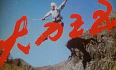 Герой кунг-фу Ван У (1985)