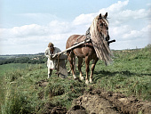 Финист – Ясный сокол (1975)