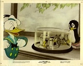 Дональд и пингвин (1939)