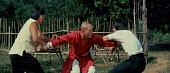 Мастер кунг-фу (1979)