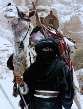 Воин пустынь трейлер (1984)