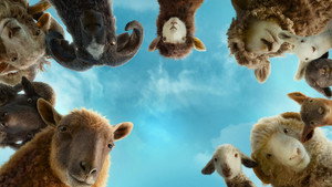 Следствие ведут овечки (2026)