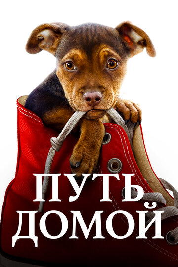 Путь домой трейлер (2019)