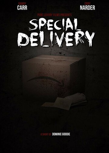 Special Delivery (2016)