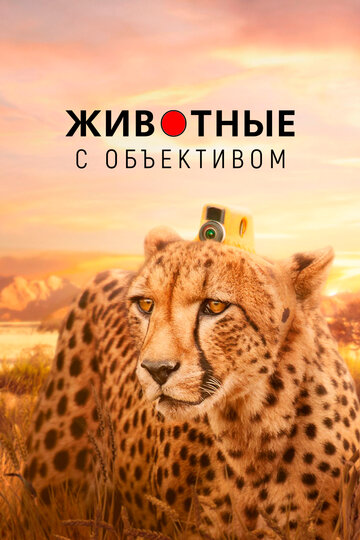 Животные с объективом 2018 трейлер (2018)