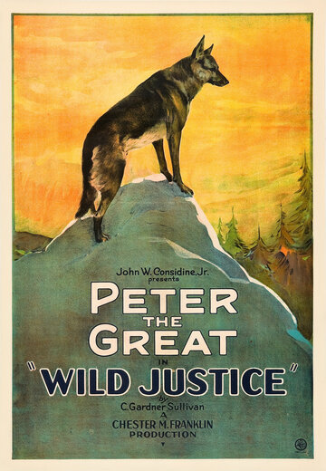 Wild Justice трейлер (1925)
