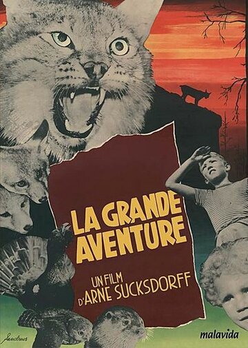 Большое приключение трейлер (1953)