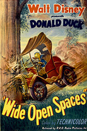 Wide Open Spaces (1947)