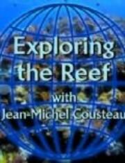 Изучение рифов трейлер (2003)
