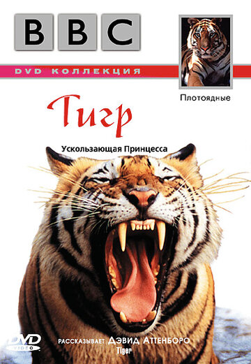 BBC: Тигр (1999)