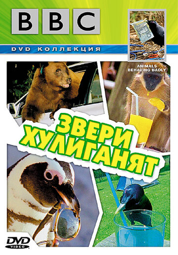 BBC: Звери хулиганят (2004)