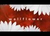 Wallflower трейлер (2006)