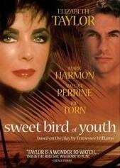 Сладкоголосая птица юности трейлер (1989)