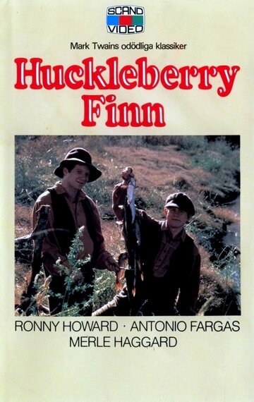 Гекльберри Финн (1975)