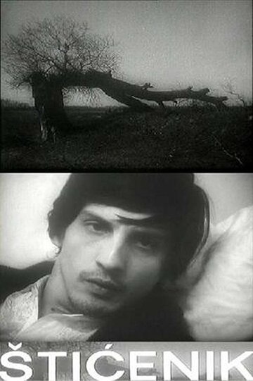 Подопечный трейлер (1973)