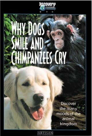 Почему собаки улыбаются и шимпанзе плачут трейлер (1999)