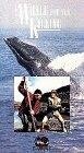 A Whale for the Killing трейлер (1981)