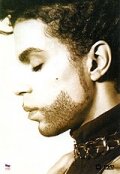 Prince: The Hits Collection (1993)