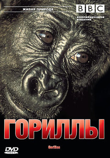 BBC: Гориллы (2002)