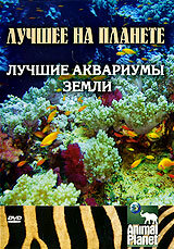 Animal Planet: Лучшие аквариумы земли 2007 трейлер (2007)