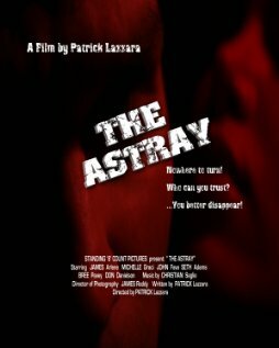 The Astray (2009)