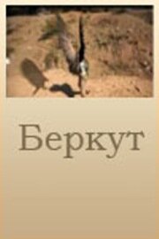 Беркут (2006)