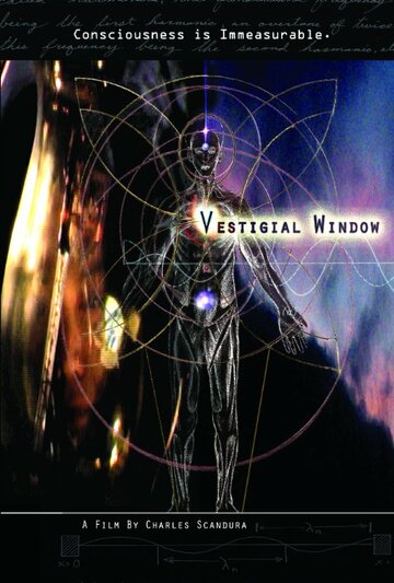 Vestigial Window трейлер (2008)