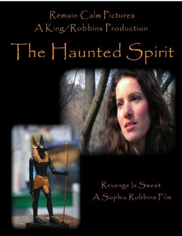 The Haunted Spirit (2009)