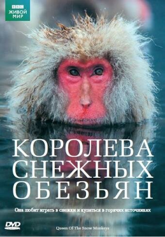 Королева снежных обезьян (2009)