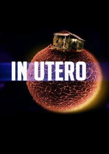 In Utero (2009)