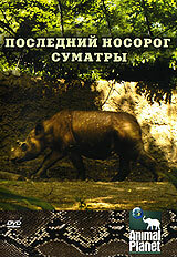 Animal Planet: Последний носорог Суматры (2002)