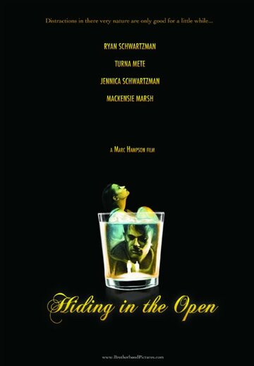 Hiding in the Open (2009)