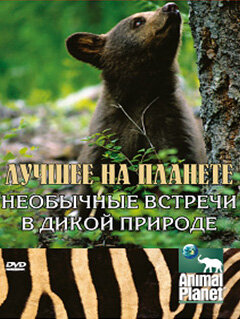 Animal Planet: Лучшее на планете (2003)