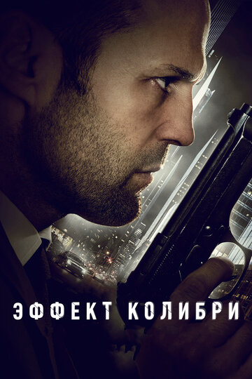 Эффект колибри (2013)